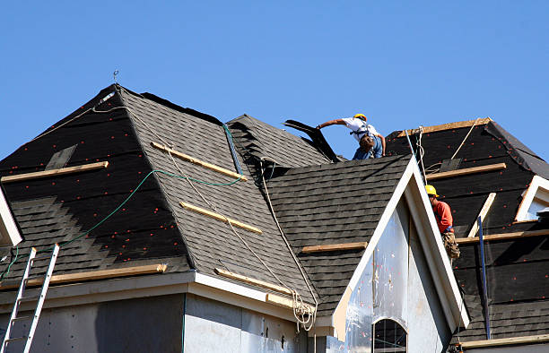 Best Roof Gutter Cleaning  in Ocean Springs, MS